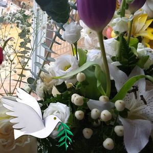 Meet your Posher, Terry